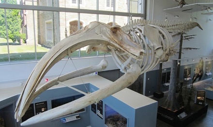 Admission for 2 people - Museum of the Earth | Ithaca, NY