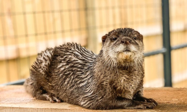 What to expect media