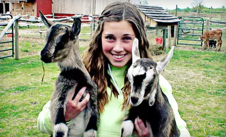 Family Season Pass for Two Adults and Two or Three Children to Deer Meadow Farms (Up to 55% Off) - Primary Image