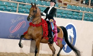 Try 30-Minute Horseback Riding Lessons for All Skill Levels