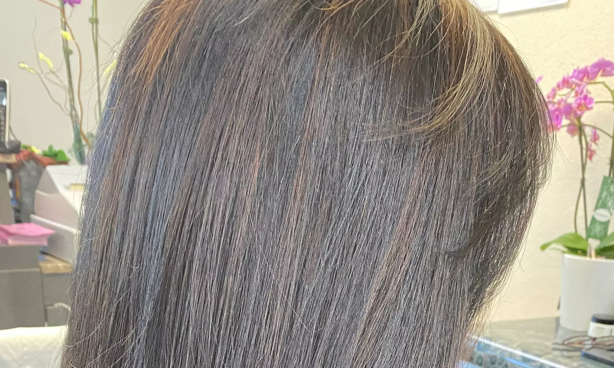 Haircut w/ Condition, Blow-Dry & Optional Single Process or Highlights