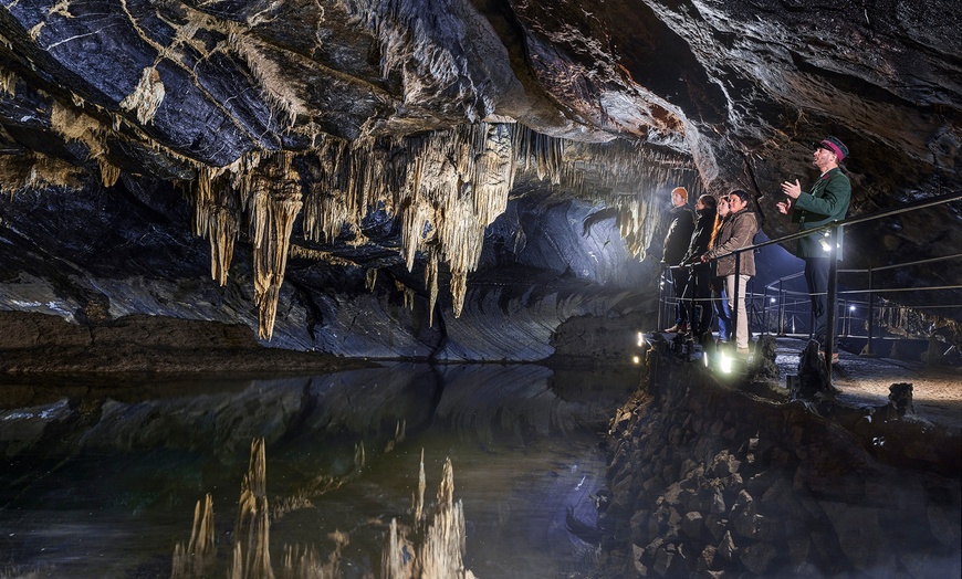 Image 6: Aventurez-vous au cœur de la Grotte de Han et de son parc animalier