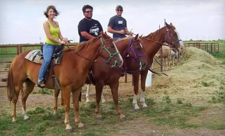 $12 for One-Hour Horseback Ride with Rockn' C Trail Rides ($25 value) - Primary Image