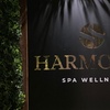 Image 11: Pack accès ou confort avec bain à remous chez Harmonia Spa