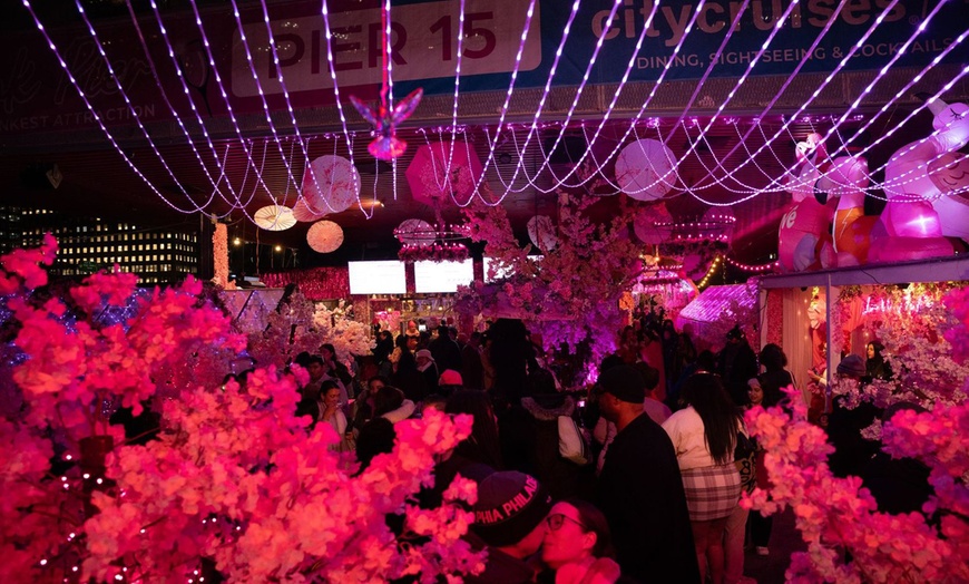 Image 6: VIP General Admission with Flex Pass Ticket to Pink Pier