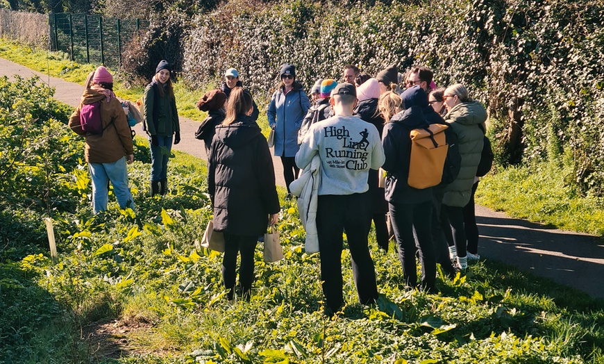 Image 1: Join the Adventure: Two or Four Person Foraging Tour Howth