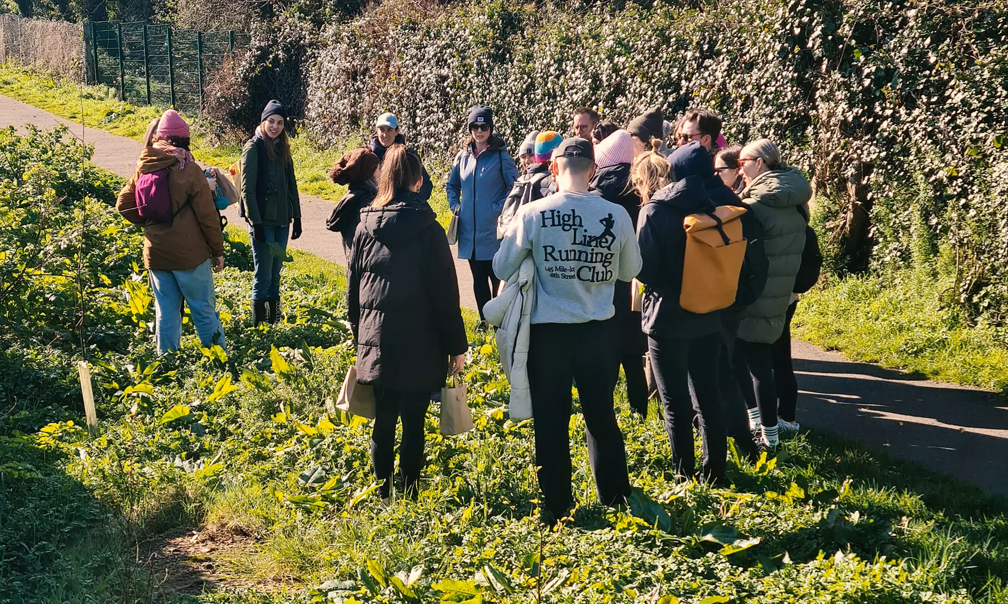 Explore Wild Edibles on a Two or Four Person Foraging Tour Howth (Up to 30% Off) - Primary Image