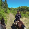 Image 1: Horseback Riding in the Laurentians