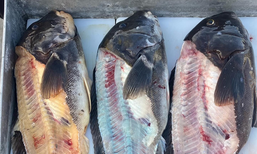 Image 3: Fishing Trip – Options for 1, 2, or 4 People