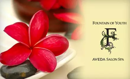 Spa Services at Fountain of Youth Aveda Salon Spa. Three Options Available. - Primary Image