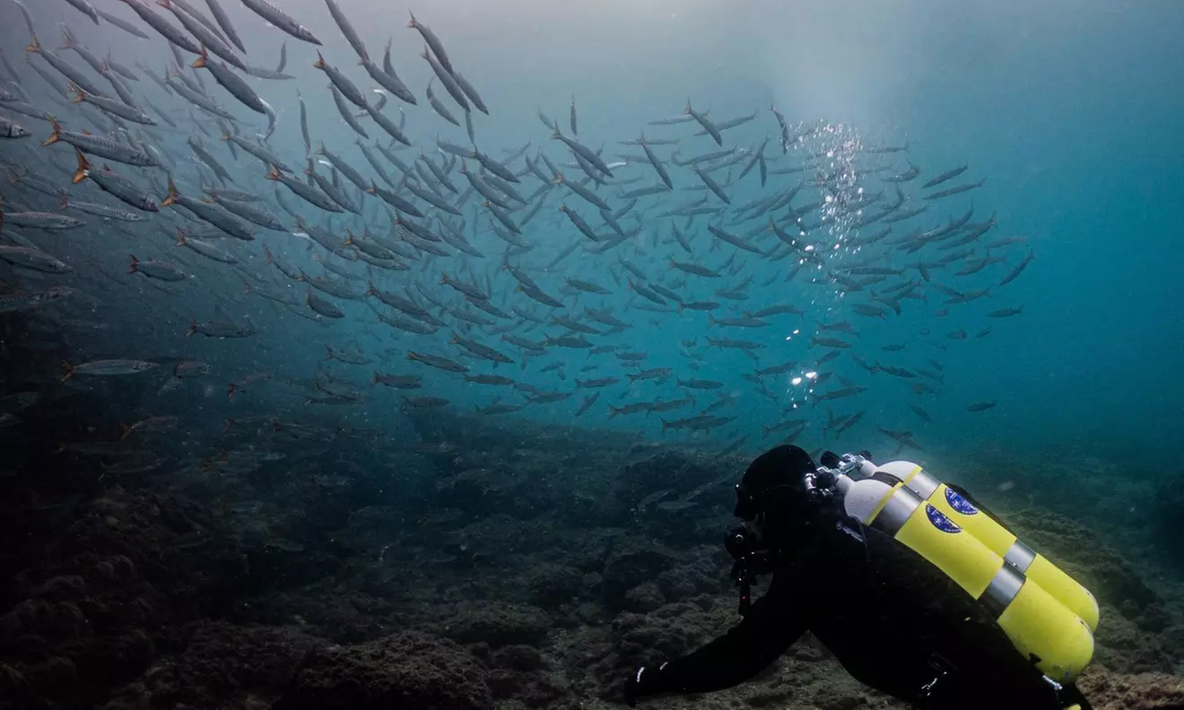 Bautizo de buceo o excursión snorkel con fotos