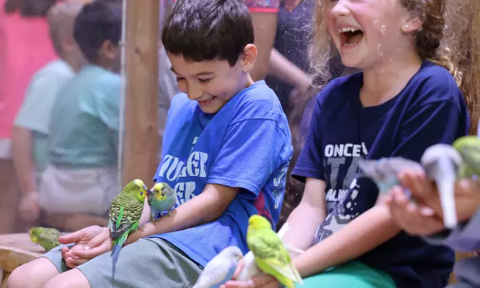 Discover Marine Wonders at Austin Aquarium