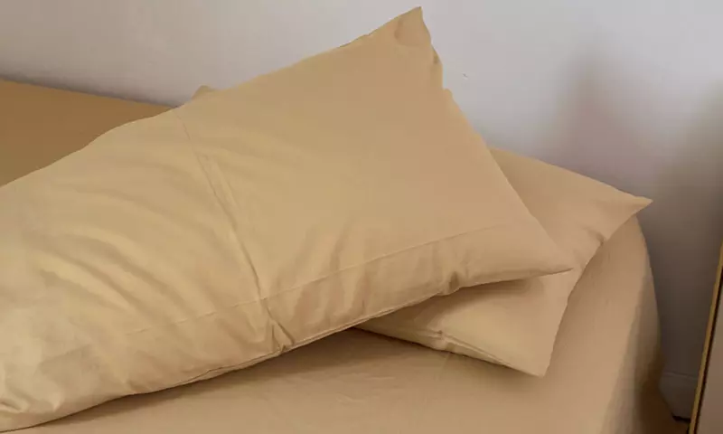 Pure Cotton 2 Piece Pillowcase Set