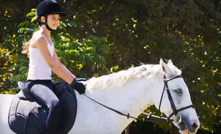 Four Horseback Riding or Polo Lesson Packages at Hillside Farm in Ritchfield (Up to 66%) - Primary Image