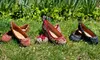 Bettie Ballet Flats and Este Flats by Kelsi Dagger (Up to 64% Off). Multiple Sizes and Colors Available. Shipping Included.