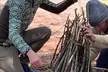Wild Edible & Medicinal Plants Class, Outdoor Survival Class- Women of the Woods and More (Up to 55% Off) - Second Medium