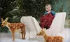 $69 for a Photography Package at Positive Vista Photography & Art ($380 Value)