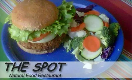 $10 for $20 Worth of Vegetarian Fare and Drinks at The Spot Natural Food Restaurant in Hermosa Beach - Primary Image