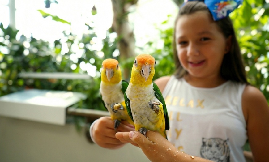 Image 3: The Green Planet Dubai Tickets – Indoor Rainforest Experience
