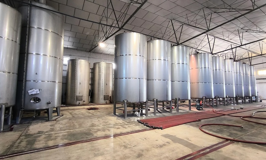 Image 7: Visita a Bodegas Las Virtudes con cata para 2 o 4 personas