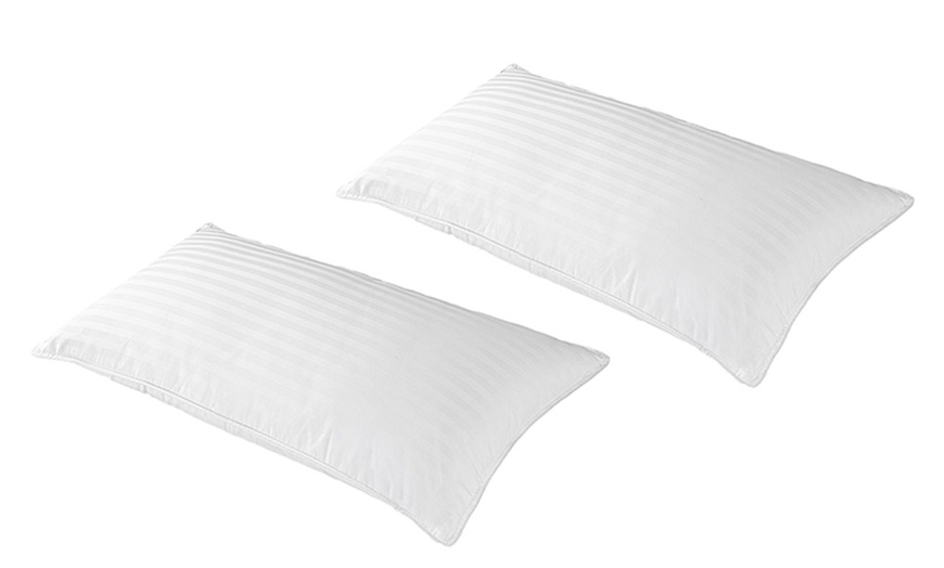 Image 5: Oreillers, Plumes Palace, Plumes et duvet, Sampur