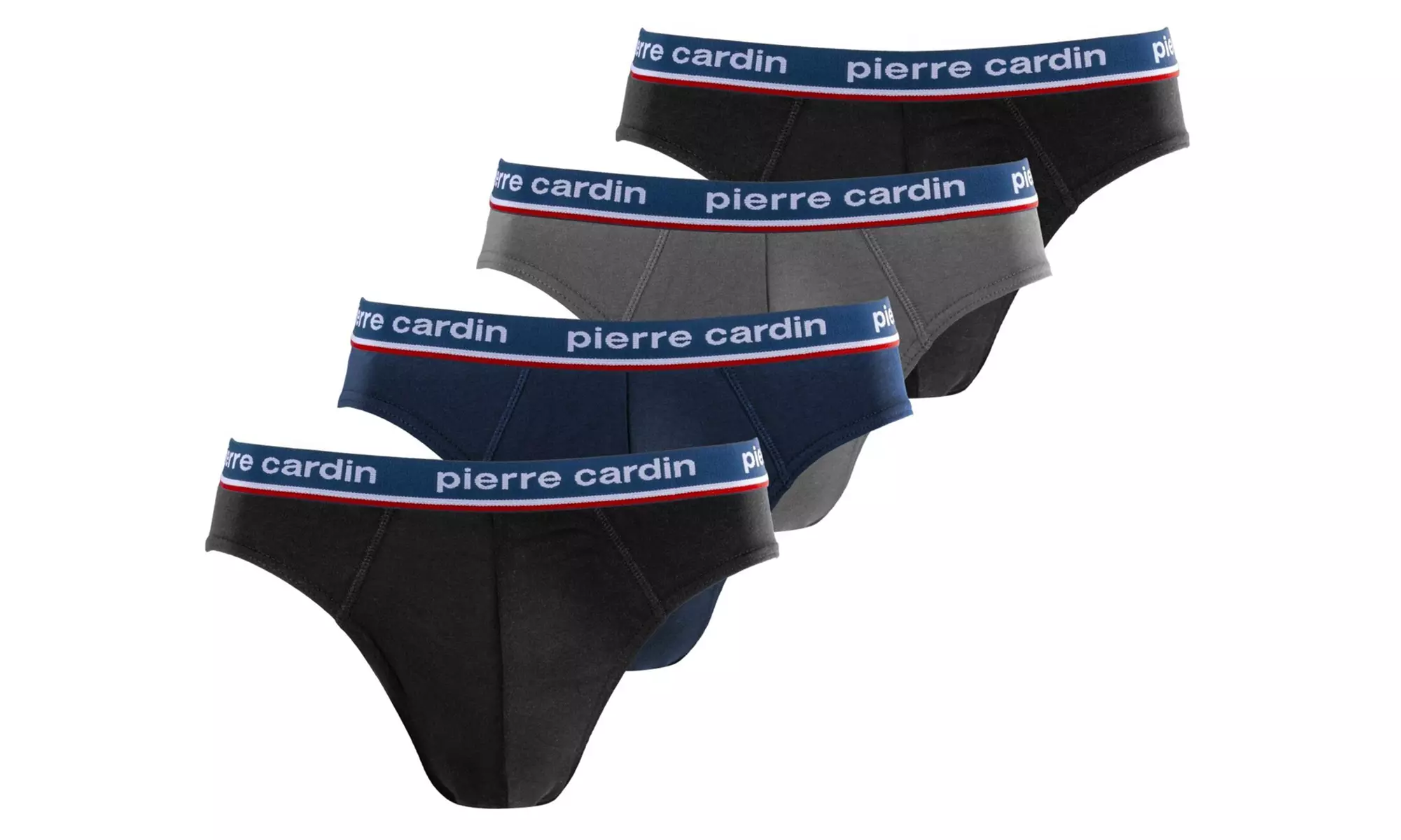 Lote de slips Pierre Cardin