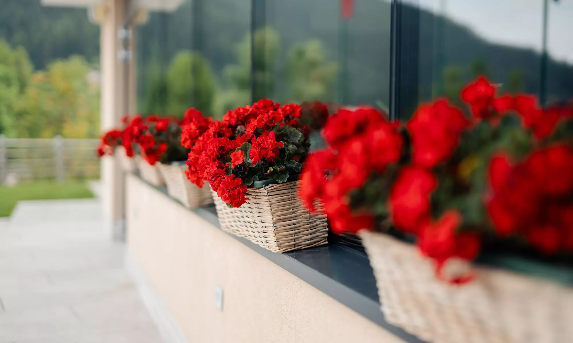 Trentino: soggiorno con mezza pensione, Spa e aperitivo per 2