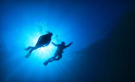 $20 for a Discover Scuba Class at Dive Dive Dive in Lawrenceville ($99 Value) - Primary Image
