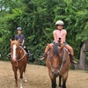 Image 1: Elevate Your Riding Skills: Scenic Horseback Riding Lesson for 2 or 4