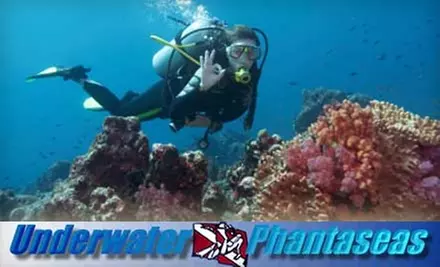 $10 for a Discover Scuba Class at Underwater Phantaseas Lakewood ($20 Value) - Primary Image
