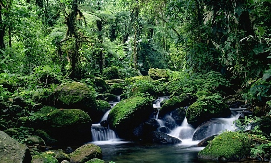 Image 3: ✈ Costa Rica: 5-Night Arenal & Monteverde with Flights & Car