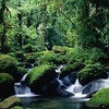 Image 3: ✈ Costa Rica: 5-Night Arenal & Monteverde with Flights & Car