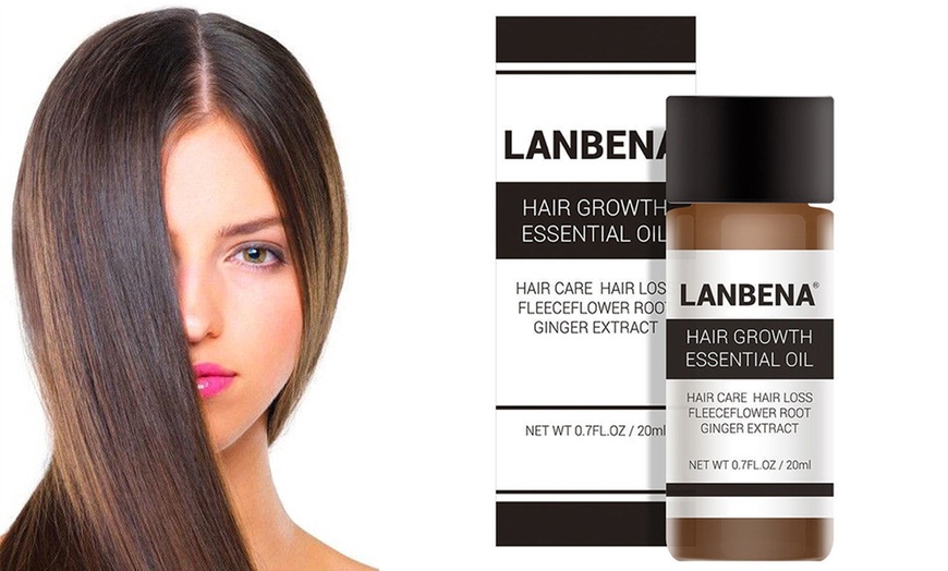Image 2: Lanbena Hair Growth Essence Hair Loss Treatment Ginger Sunburst Raise 