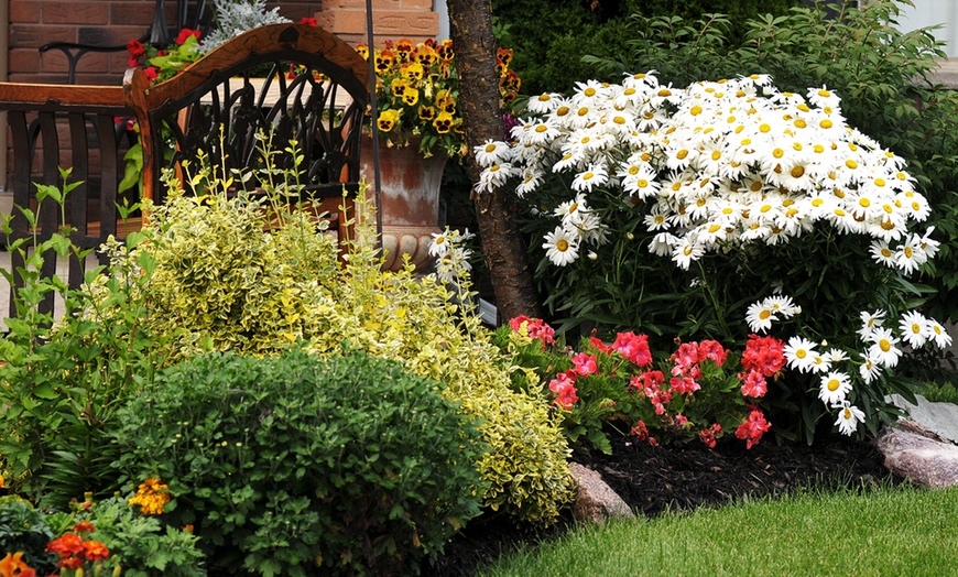 Landscape Design Consultation - JC & Company Landscape Design | Groupon