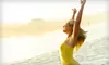 $139 for a 12-Day Cleanse with Meal-Replacement Shakes and Supplements from Peak Performance Health Care ($300 Value)