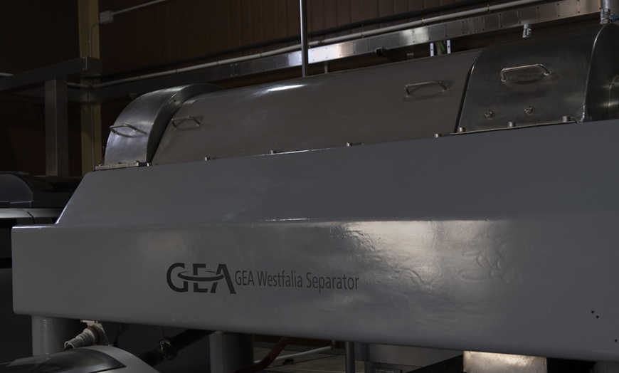 Image 9: Cata gourmet de aceite con visita guiada y regalo de bienvenida