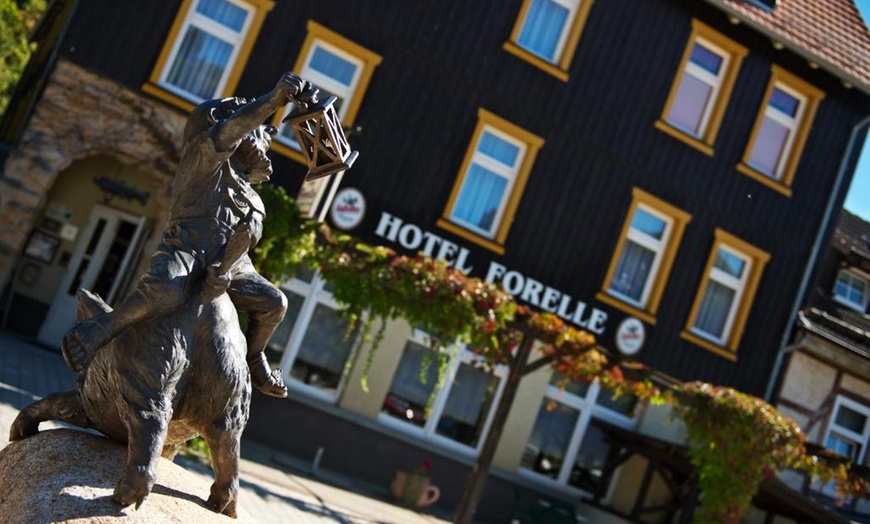 Image 7: Harz: 2-5 Nächte inkl. Halbpenion und Sauna