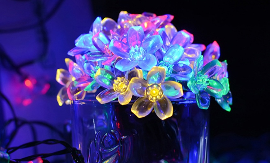 Image 14: 50 LED Multi-Coloured Solar Cherry Blossom Lights Options