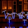 Image 3: Betoverende avondtocht vol licht, kunst en gezelligheid op het water