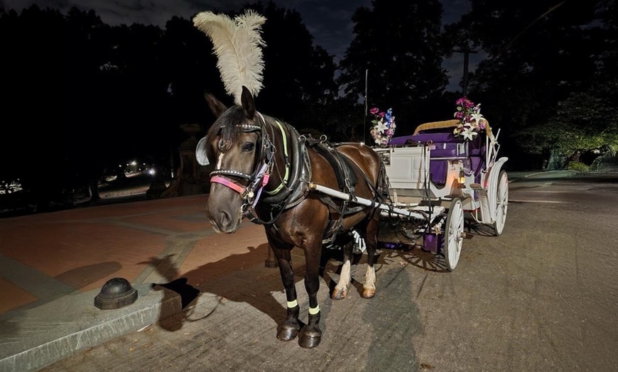 Image 2: Enjoy a 45-Minute Classic or 60-Minute Deluxe Horse & Carriage Ride 