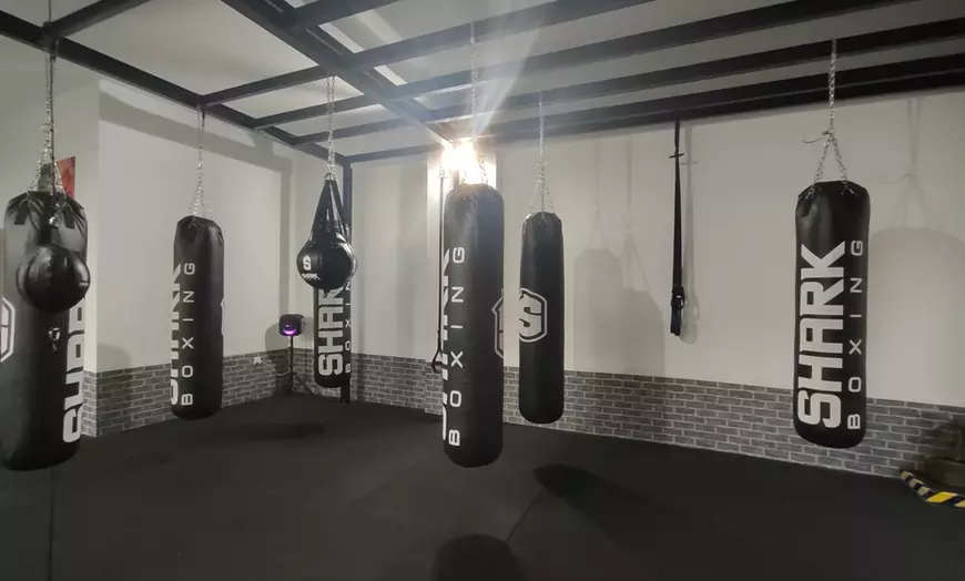 Image 3: 1 o 2 clases individuales de boxeo 