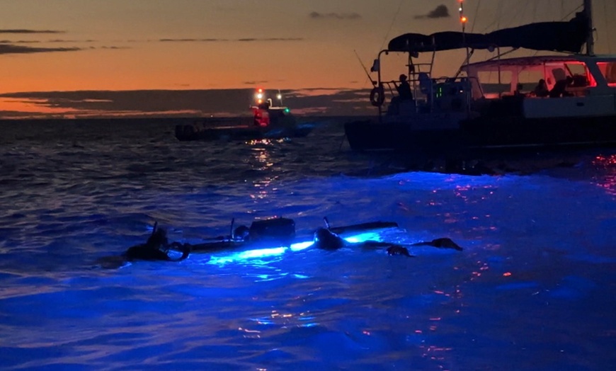 Image 3: Enjoy 2 hour Manta Tour (45 Minutes Water Time for up to 6 People at Kona Mantas(Up To 38% Off)