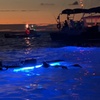 Image 3: Enjoy 2 hour Manta Tour (45 Minutes Water Time for up to 6 People at Kona Mantas(Up To 38% Off)