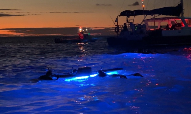 What to expect media