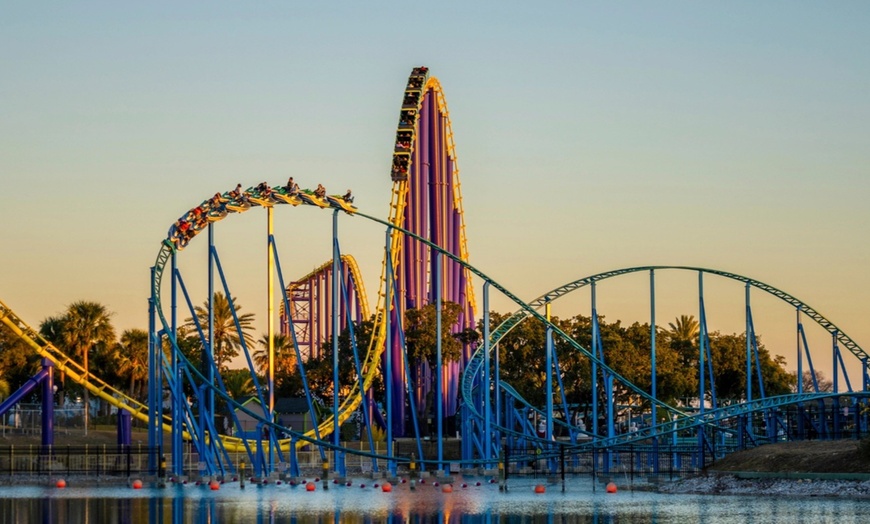 Image 3: LABOR DAY SALE! SeaWorld San Antonio & Aquatica- Up to 53% Off