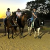 Image 3: Three-Day Kids Holiday Horse Riding Camps – Adventure Awaits

