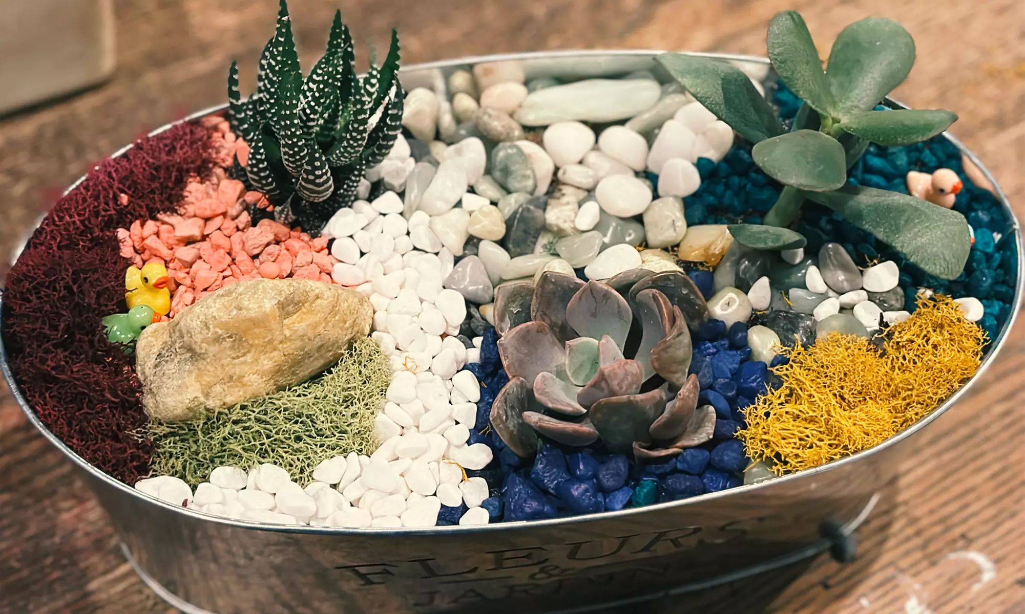 Sip on Your Drink While Building a Terrarium of Your Own Design!
