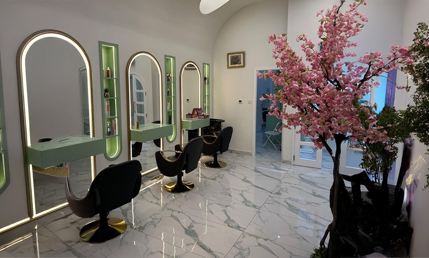 Image 1: Hair Wash and Blow-dry, Roots Color, Full Hair Color, Balayage, & More