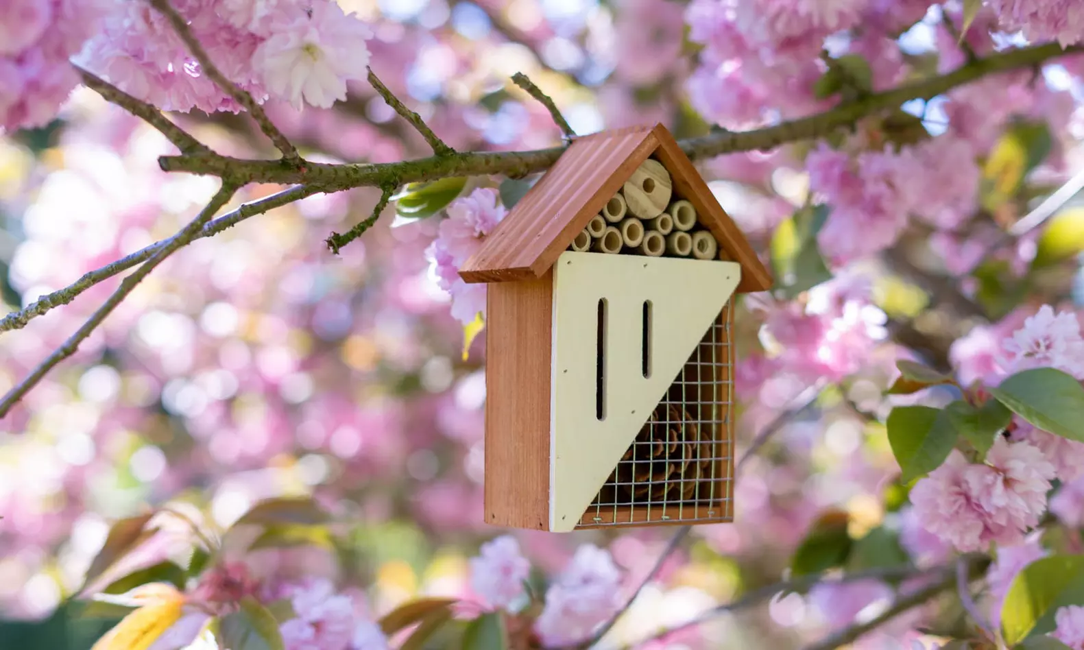 Hand Crafted Multicompartment Wooden Pollinating Houses for Bees & Butterflies