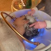 Image 1: 60-Min Head Spa Treatment / Deep Cleansing & Moisturizing Facial